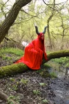 Foto des Kostüms