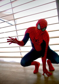 Cosplay-Cover: Spider-Man