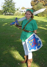 Cosplay-Cover: Link (erwachsen)