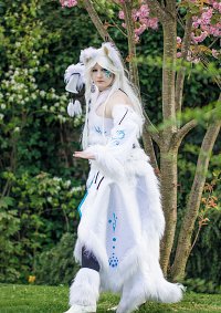 Cosplay-Cover: Polarfuchs