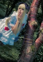 Cosplay-Cover: Alice maid