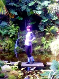 Top-3-Foto - von Lendri44