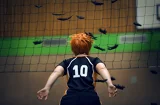Top-3-Foto - von CAGE