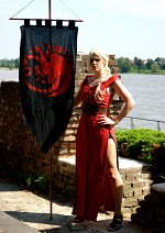 Cosplay-Cover: House Targaryen