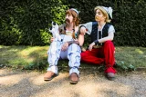 Top-3-Foto - von Yuzel