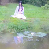 Top-3-Foto - von Yuzel