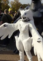 Cosplay-Cover: Reshiram