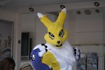 Cosplay-Cover: Renamon [Cos. Nr.2]