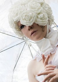 Cosplay-Cover: Doll [Noah's Ark Circus]