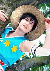 Cosplay-Cover: Monkey D Luffy [Amazon Lily]
