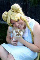 Cosplay-Cover: Usagi Tsukino (Episode 17)