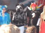 Cosplay-Cover: Jacky the Silverfox Wolf Whatever Hybrid