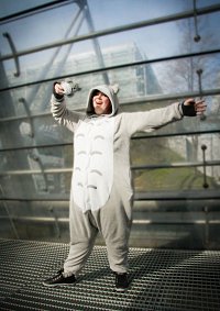 Cosplay-Cover: Totoro