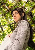 Cosplay-Cover: Arwen Undómiel (Chase Dress)