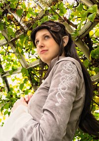 Cosplay-Cover: Arwen Undómiel (Chase Dress)