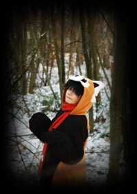 Cosplay-Cover: RedPanda