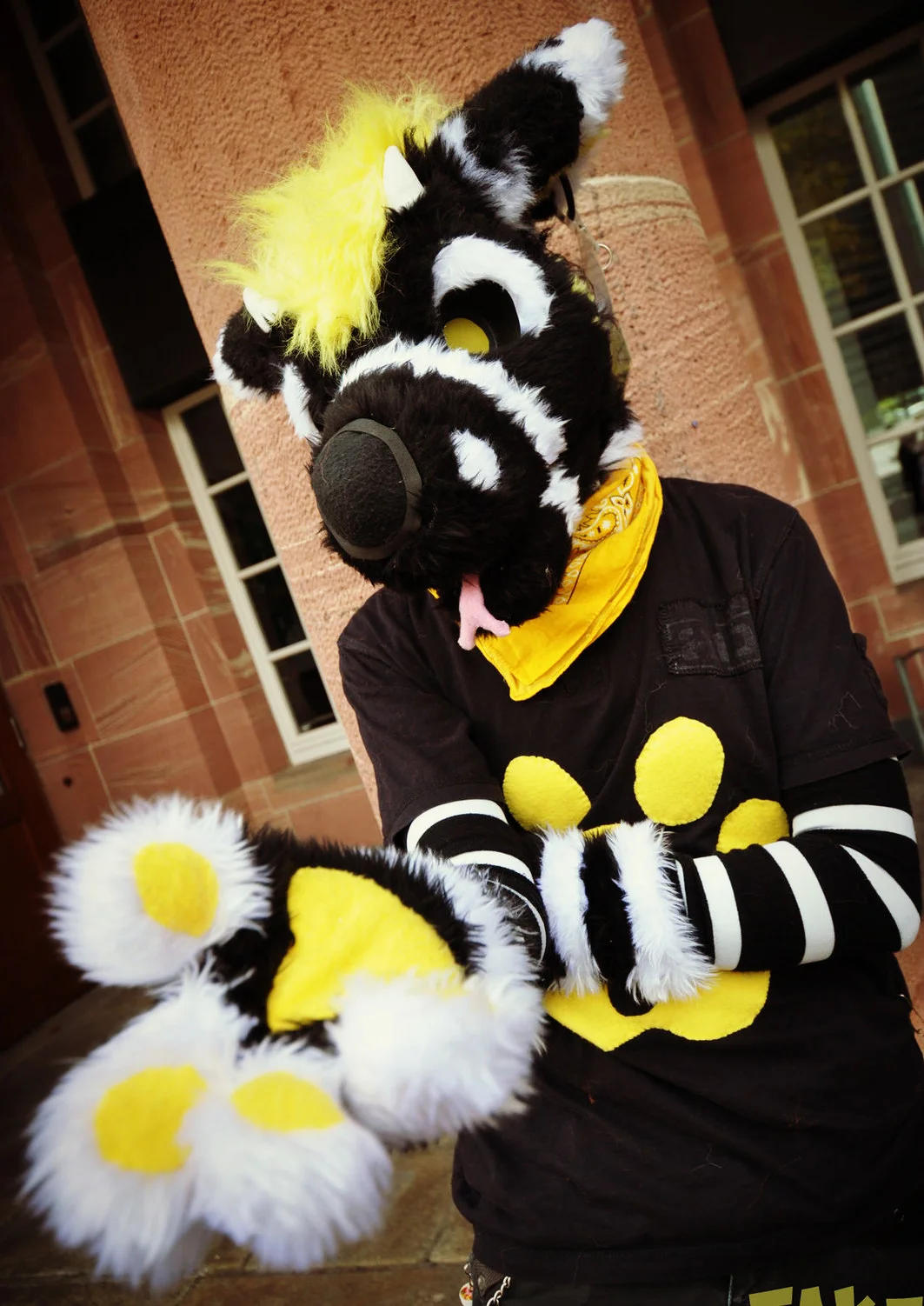 Cosplay-Cover: F@ké *Teilsuit*