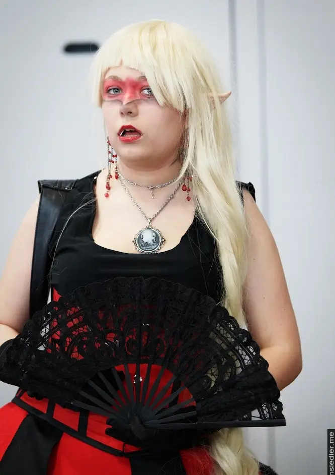 Cosplay-Cover: Lady Agnieszka