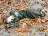 Top-3-Foto - von shiranuii