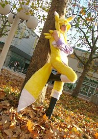 Cosplay-Cover: Renamon [レナモン]