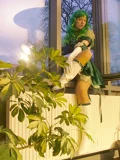 Top-3-Foto - von shiranuii