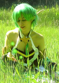 Cosplay-Cover: Lime/ Boudicca