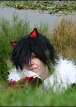 Cosplay-Cover: Shadow the Hedgehog