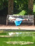 Foto des Kostüms
