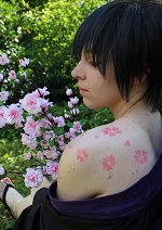 Cosplay-Cover: Hibari Kyoya - 雲雀恭弥 - [Ten Years Later Yukata]