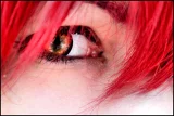 Top-3-Foto - von Lareynne