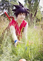 Cosplay-Cover: Son Goku