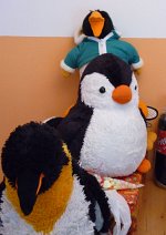 Cosplay-Cover: Pinguine