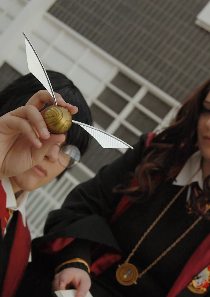 Cosplay-Cover: Harry James Potter