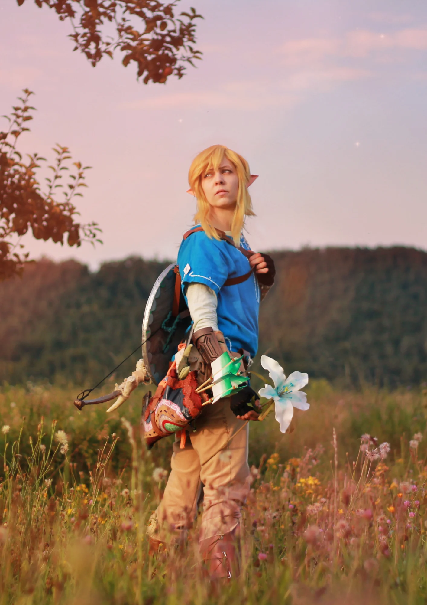 Cosplay-Cover: Link