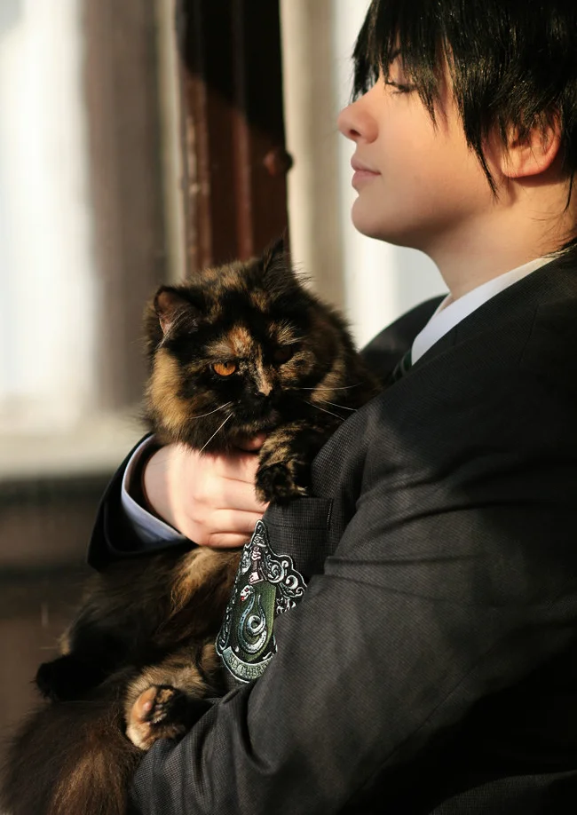 Cosplay-Cover: Regulus Arcturus Black