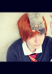 Cosplay-Cover: Ronald Bilius "Ron" Weasley [Gryffindor]