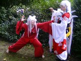 Top-3-Foto - von Kagome_