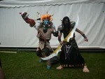 Cosplay-Cover: Troll Druide T4set