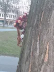 Foto des Kostüms