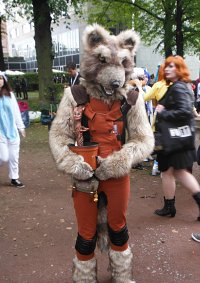 Cosplay-Cover: Rocket Racoon