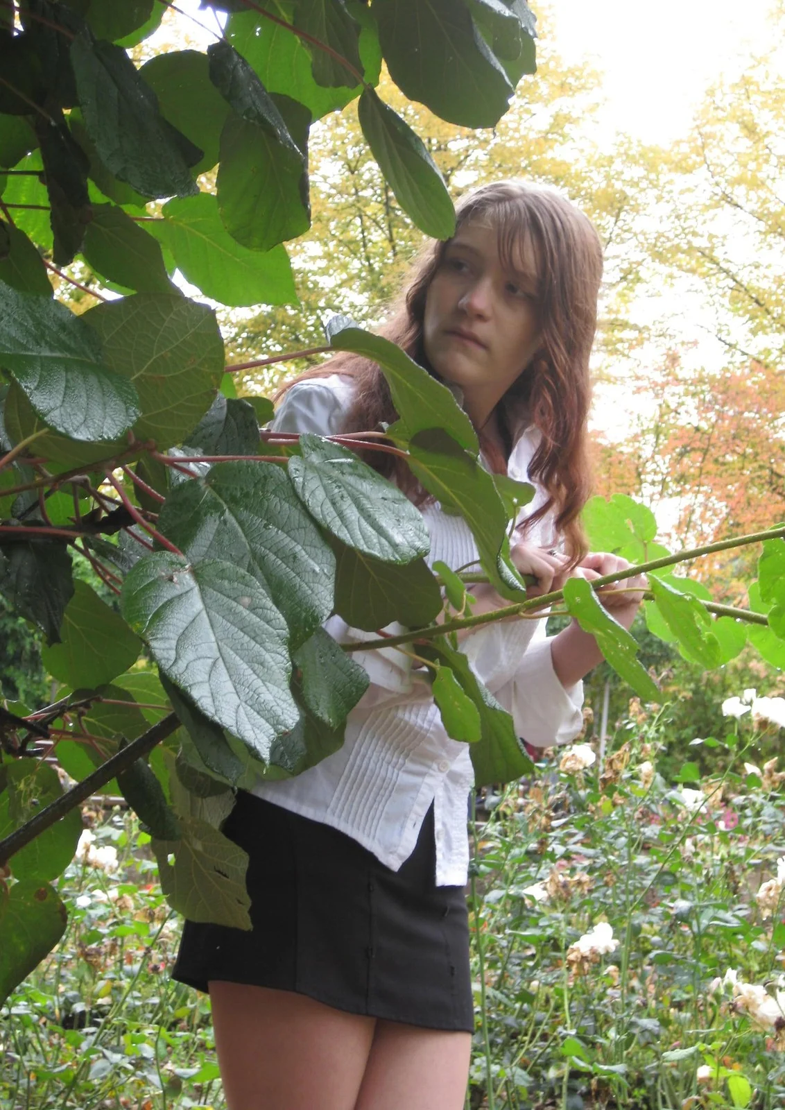 Cosplay-Cover: Mikuru Asahina (Adult Version)