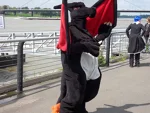 Foto des Kostüms