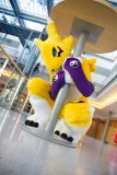 Top-3-Foto - von Eiskatze