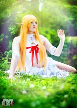 Cosplay-Cover: Asuna [Titania]