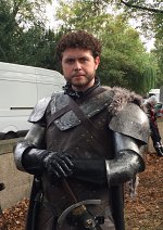 Cosplay-Cover: Robb Stark