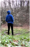 Top-3-Foto - von Permafrost