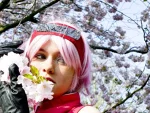 Cosplay-Cover: Sakura ~*+Shippuuden Timejump+*~
