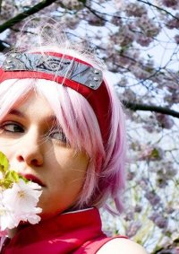 Cosplay-Cover: Sakura ~*+Shippuuden Timejump+*~