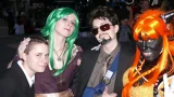 Top-3-Foto - von -Boss-