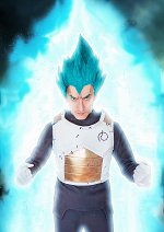 Cosplay-Cover: Vegeta [Dragon Ball Super/ Resurrection of F]